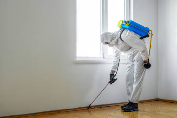 Best Best Pest Control Companies  in Eveleth, MN