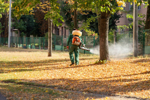 Best Bird Control  in Eveleth, MN